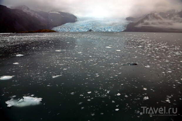 Аляска. Круиз по Кенайским фьордам и ледник Aialik Glacier / Фото из США