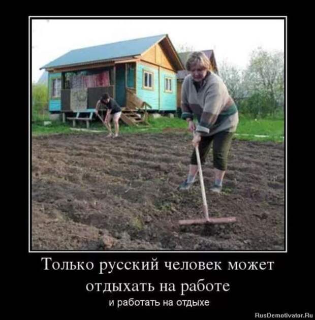 Смешные комментарии. Подборка chert-poberi-kom-chert-poberi-kom-21500317082020-5 картинка chert-poberi-kom-21500317082020-5