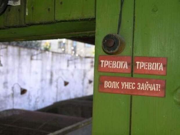 Свежие приколычи (43 шт)
