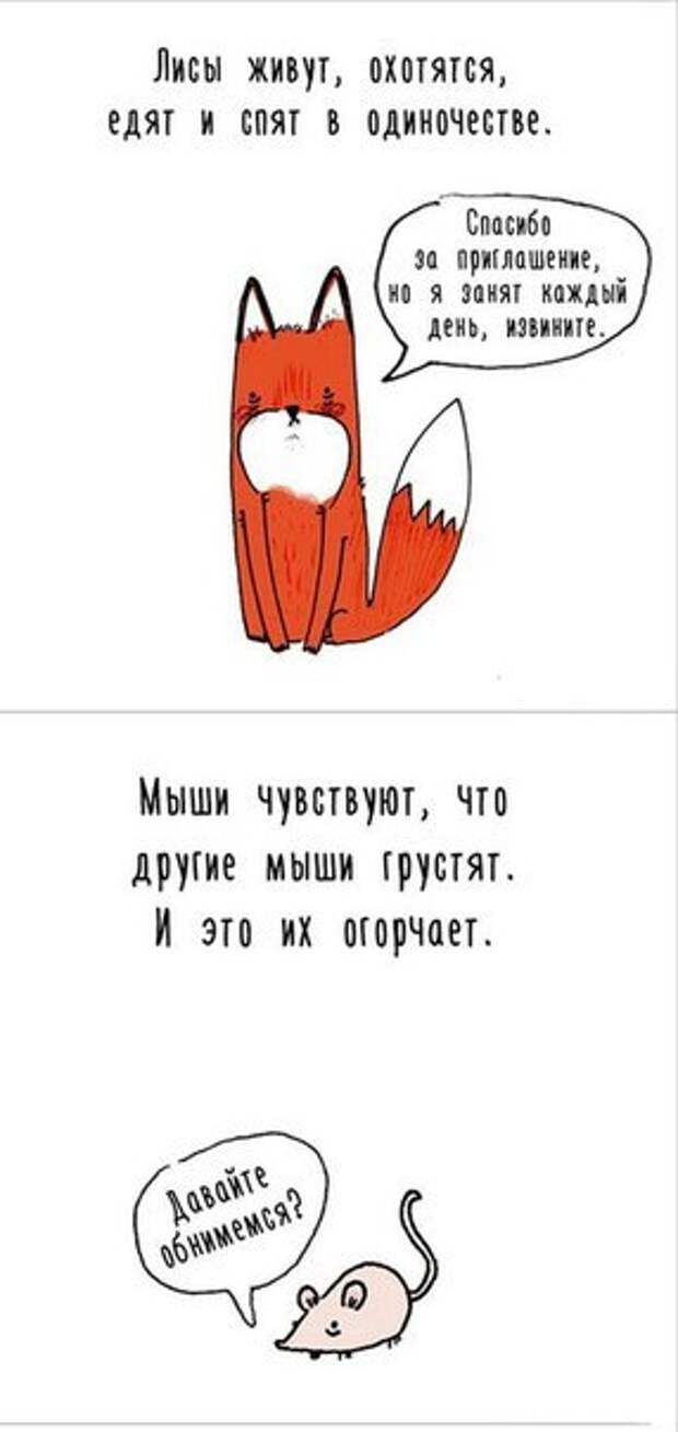 ApT5hdn8JwY