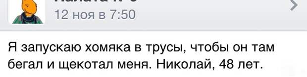 Свежие перлы из социальных сетей