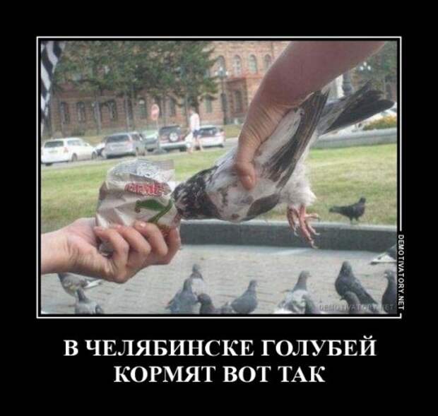 Пятничные демотиваторы на Бугаге (16 шт)