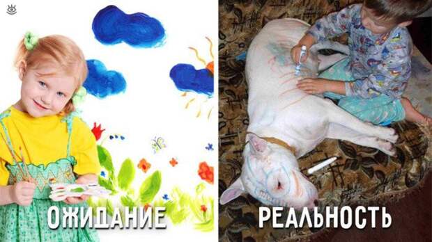 Чем ожидание отличается от реальности 29