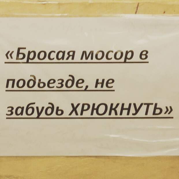 гениальные объявления в подъездах 