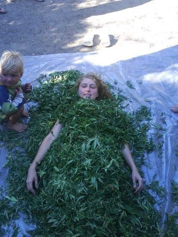 Вестник социальных сетей