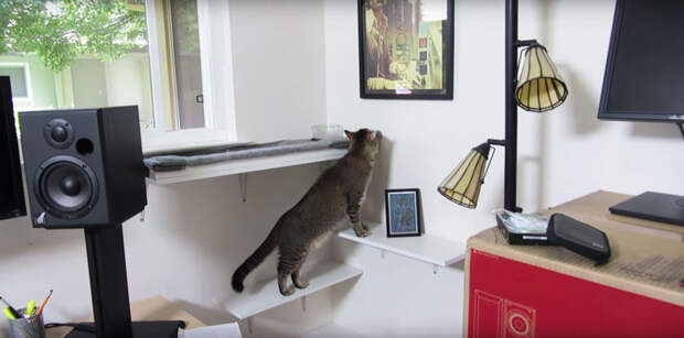 Кормушка, которая заставит кота поохотиться кормушка, кот, охота