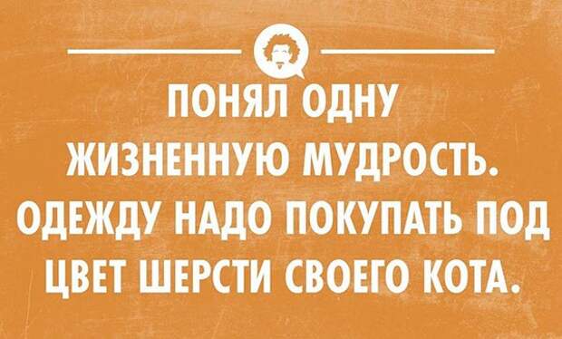 открытки обо всем на свете 