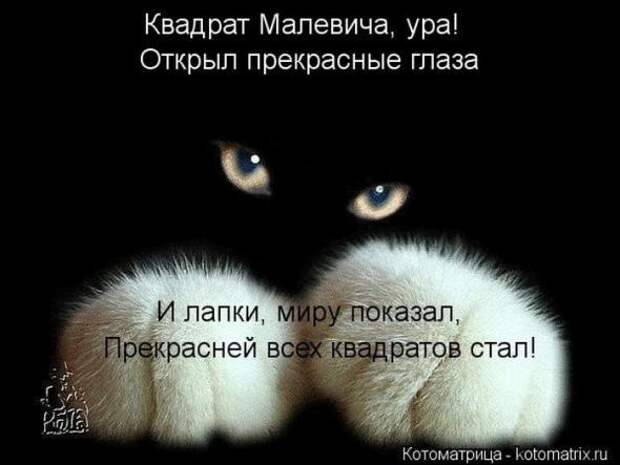 Котоматрицы (картинки с надписями)