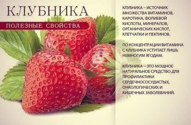 9 самых полезных продуктов для всего организма