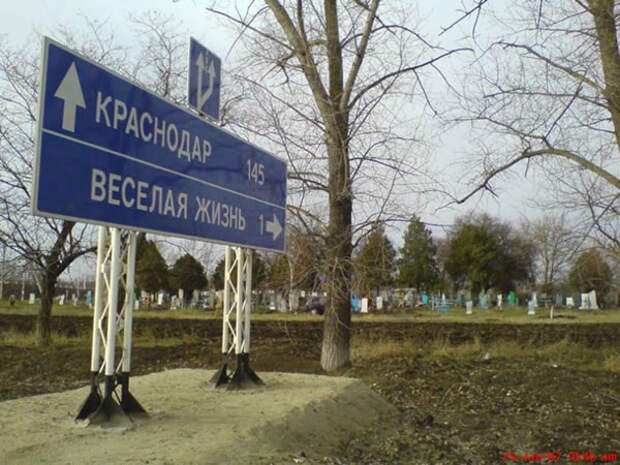 Смешная веселая картинка - "Веселая жизнь"