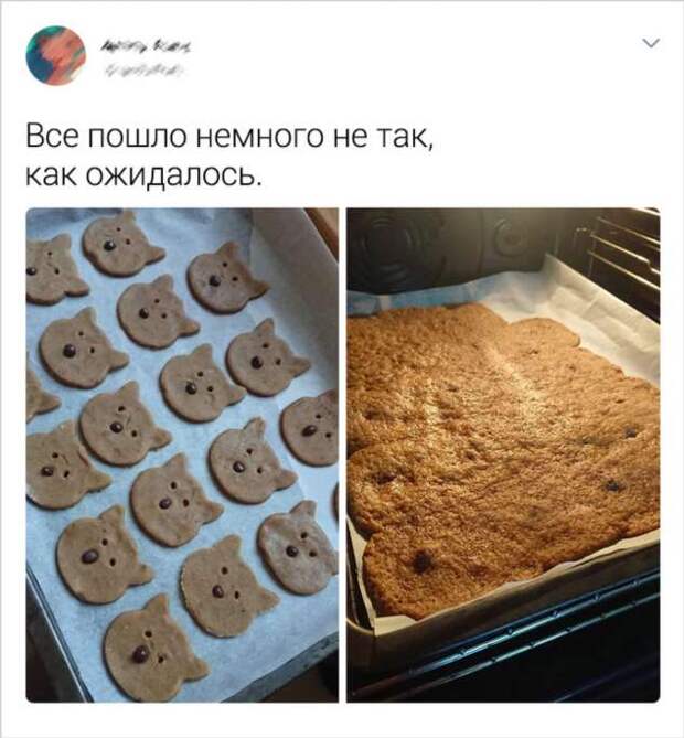 20+ кулинаров, которые могли бы претендовать на премию «Провал года»
