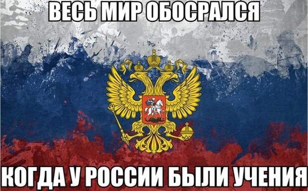 Просто смешные картинки с подписями Просто смешные картинки с подписями весело, с подписями, смешные картинки, юмор