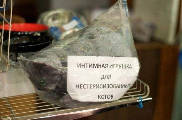 Весна опять пришла Весна опять пришла
