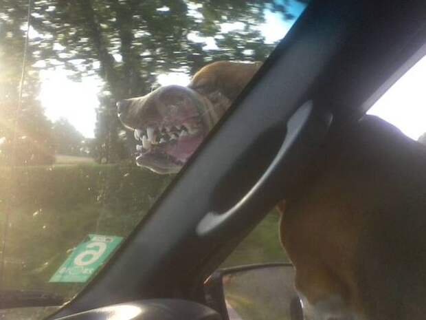 Прикольные картинки (90 фото) Прикольные картинки (90 фото)