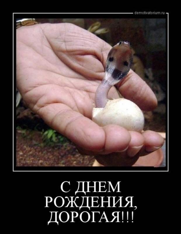 Смешные демотиваторы