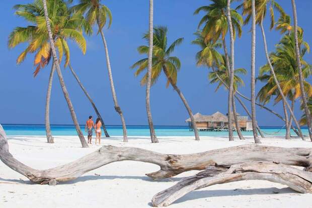 Гили Ланкафуши на Мальдивах - лучший отель 2015 года по версии TripAdvisor (27)
