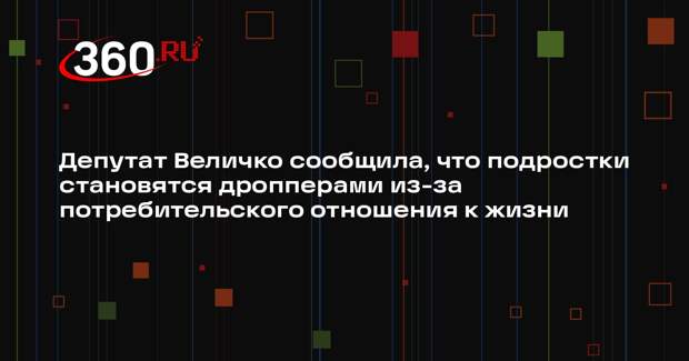 Депутат Величко сообщила, что подростки становятся дропперами из-за потребительского отношения к жизни