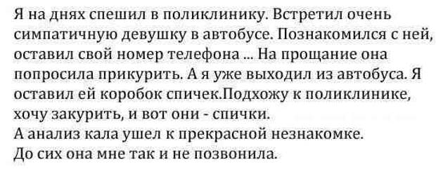 Новогодняя минутка юмора Новогодняя минутка юмора