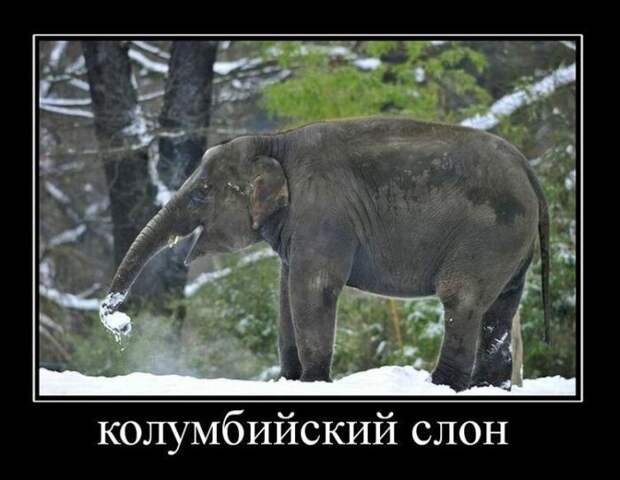 Демотиваторы (30 фото)