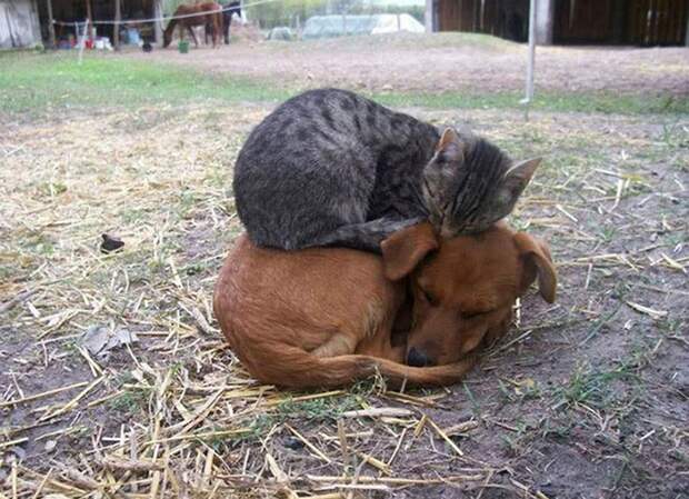 friendship5
