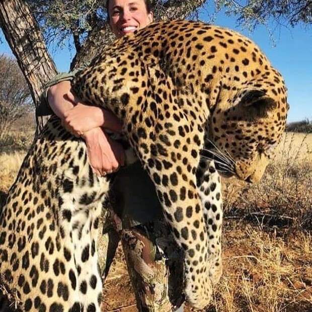 Селебрити ополчились на убийцу леопарда и запустили флешмоб c хештегом #найдитеэтусуку #findthisbitch, #найдитеэтусуку, Safari Club International, охота на животных, сафари
