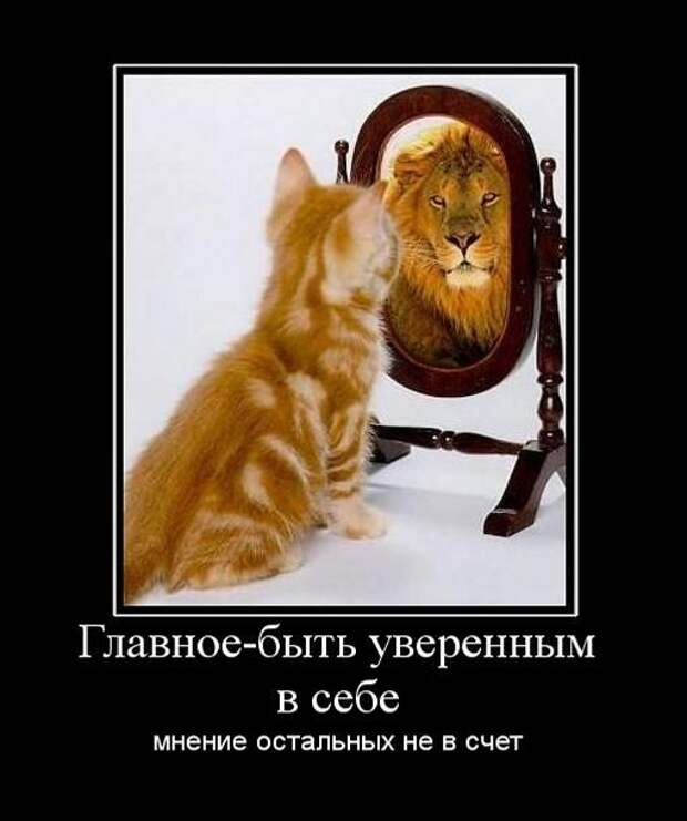 Демотиваторы (133 картинки)