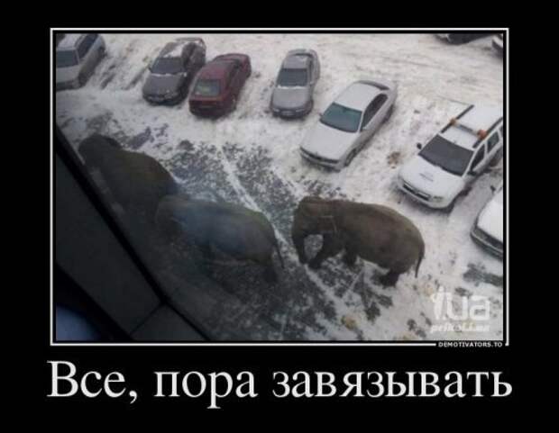Хороший набор демотиваторов Хороший набор демотиваторов