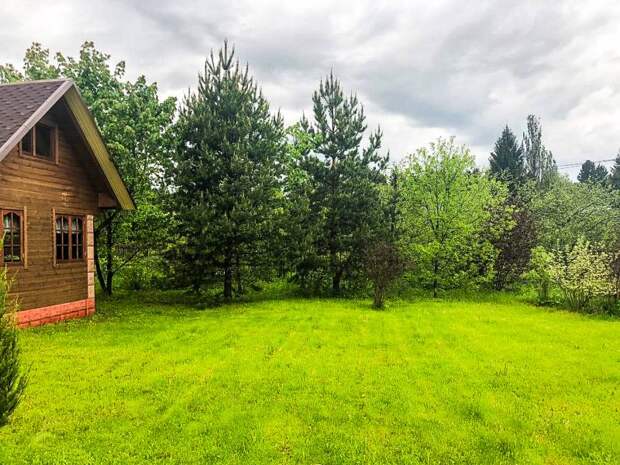 Дачникам грозят штрафы: как избежать проблем с законом