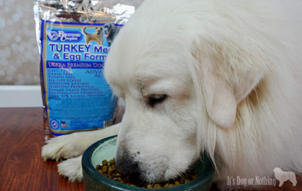 Brothers Complete Dog Food