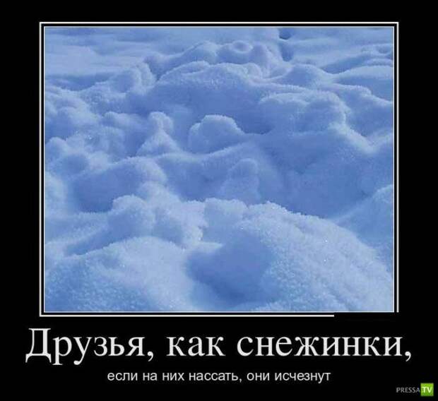 Демотиваторы на июнь, часть 13 (30 фото)