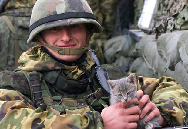39. Солдат и котёнок 39. Солдат и котёнок война, животные, питомцы, солдаты