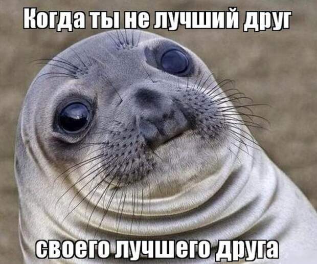 Позитив, юмор, смешные фотографии 