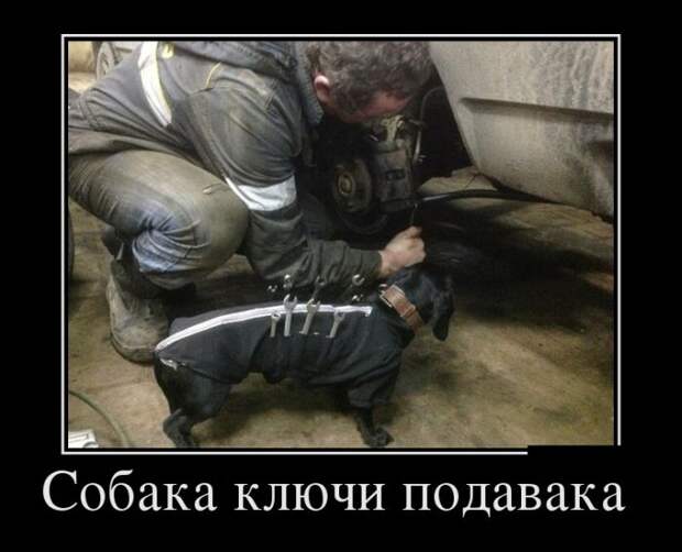 Демотиваторы (30 фото)