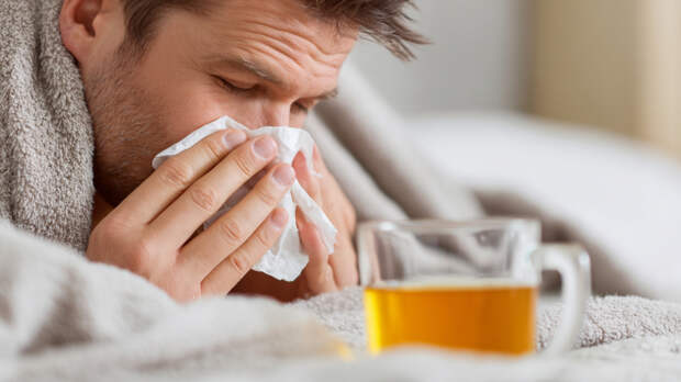 Сезон заболеваемости: какие вирусы угрожают россиянам этой весной