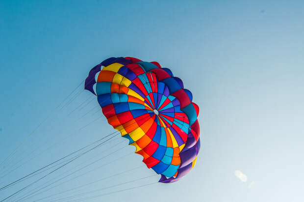 fly