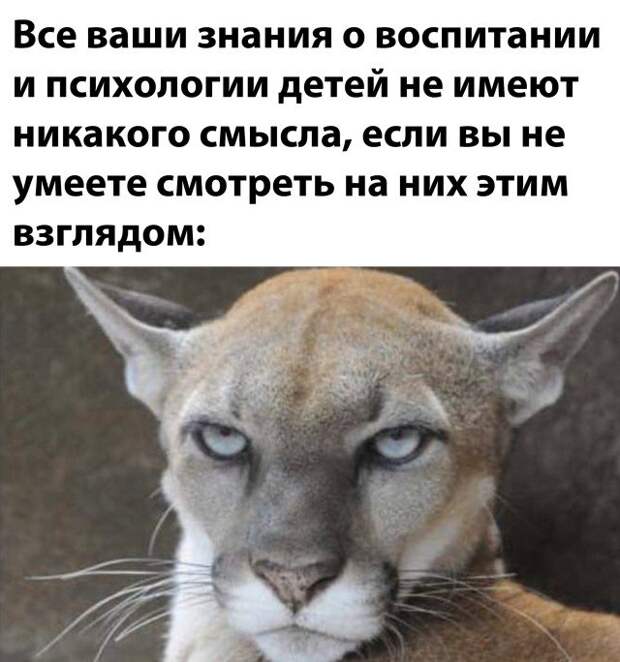 Взгляд наказания