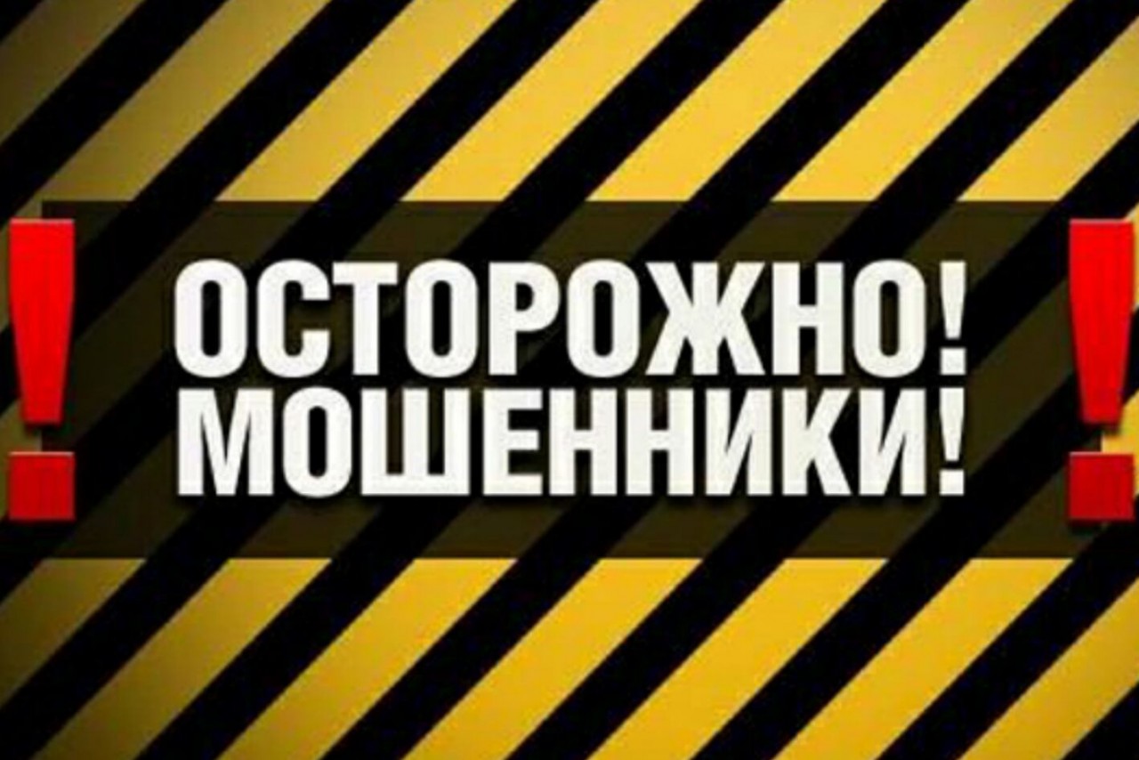 Как правильно бороться с мошенниками-«дарильщиками» деньги, лохи, мошенничество, наказание, обман, полиция, развод, штраф