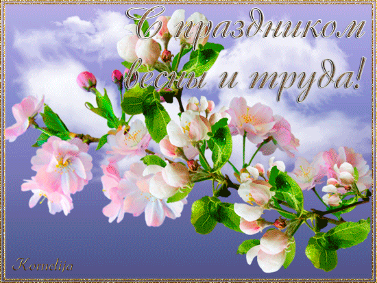 С Днём труда и весны, дорогие друзья