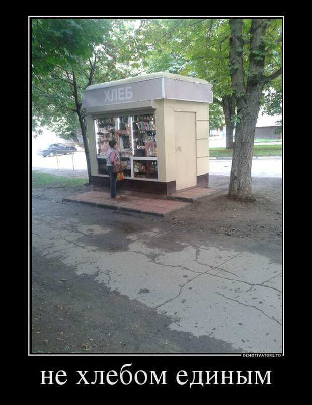 Демотиваторы 