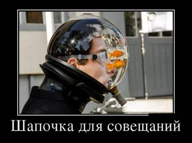 Демотиваторы демотиваторы, прикол, смех, юмор