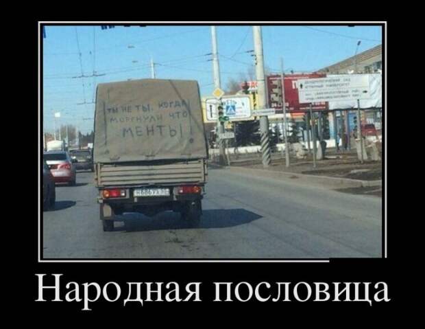 Демотиваторы (30 фото)