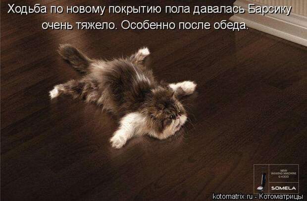 Мысли вслух :)