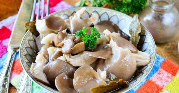 Обалденные соленые грибы-вешенки в банках: вкуснейшая заготовка по бабушкиному рецепту