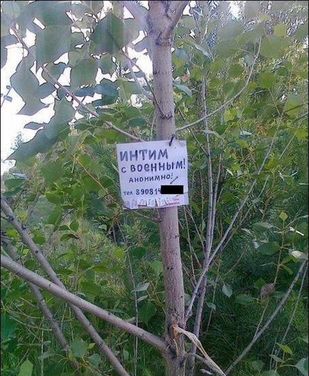 Забавные объявления и народный креатив (32 фото)