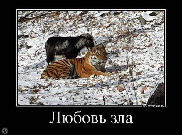 Просветление - это сюда! 17