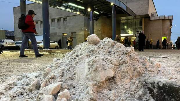 Директор «БлагоДари» призвал выплатить компенсацию 76-летней петербурженке после ДТП со снегопогрузчиком