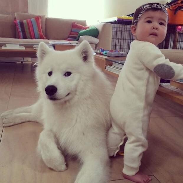 small-babies-children-big-dogs-27__880