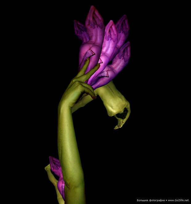 Human Bodies Art