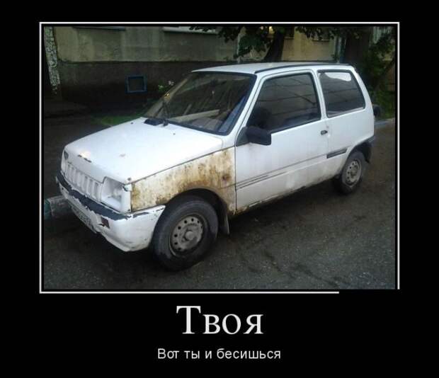 Лучшие демотиваторы дня