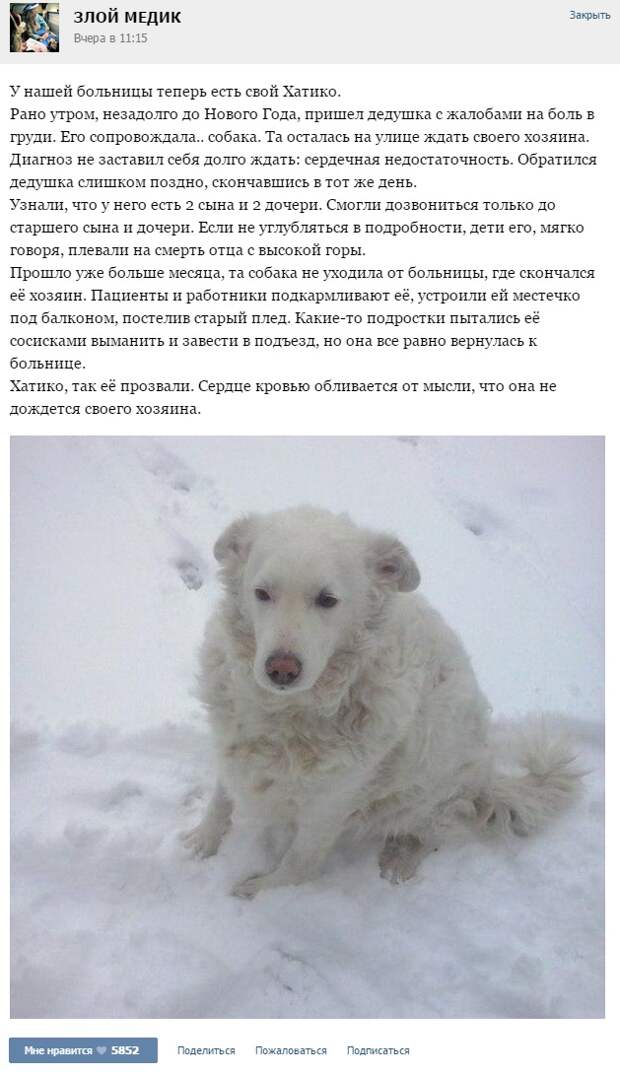 Курьезные случаи из врачебной практики. Часть 54 (25 скриншотов)